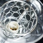 Светильник настенный бра Lumion 3445/1W POLINA