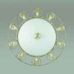 Настенно-потолочный светильник Odeon light 3483/2C KANTI