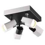 Светильник потолочный Odeon light 3491/4CA DARAVIS