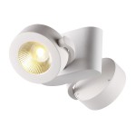 Потолочный светильник Odeon light 3493/20CL PUMAVI