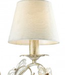 Светильник настенный бра Lumion 3497/1W Wispa