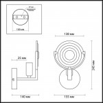 Светильник настенный бра Lumion 3510/1W LUNAPIENA