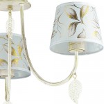 Люстра Lumion 3516/3 ANAMIVA