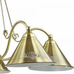 Люстра Lumion 3517/5 ANAKANA