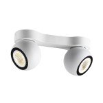 Потолочный светильник Odeon light 3536/2CL URFINA