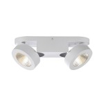 Потолочный светильник Odeon light 3538/2LC LACONIS