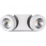 Настенный светильник Odeon light 3538/2WL LACONIS