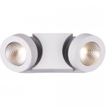 Настенный светильник Odeon light 3538/2WL LACONIS