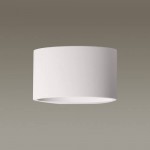 Настенный светильник Odeon light 3550/1W GIPS