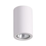 Потолочный накладной светильник Odeon light 3553/1C GIPS