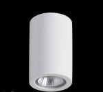 Потолочный накладной светильник Odeon light 3553/1C GIPS