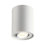 Потолочный накладной светильник Odeon light 3564/1C PILLARON