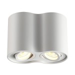 Потолочный накладной светильник Odeon light 3564/2C PILLARON