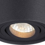 Потолочный накладной светильник Odeon light 3565/1C PILLARON