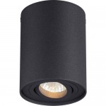 Потолочный накладной светильник Odeon light 3565/1C PILLARON