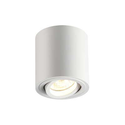

Потолочный накладной светильник Odeon light 3567/1C TUBORINO, 3567/1C