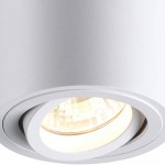 Потолочный накладной светильник Odeon light 3567/1C TUBORINO