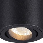Потолочный накладной светильник Odeon light 3568/1C TUBORINO