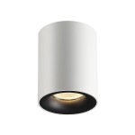 Потолочный накладной светильник Odeon light 3569/1C TUBORINO