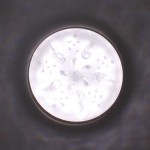 Светодиодный модуль 24Вт Novotech 357428 