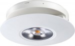 Накладной светильник Novotech 357479 RAZZO