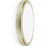 Светильник светодиодный Novotech 357516 OPAL