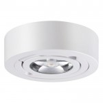 Накладной светильник Novotech 357704 RAZZO