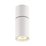 Потолочный накладной светильник Odeon light 3582/1C DUETTA