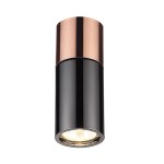 Потолочный накладной светильник Odeon light 3583/1C DUETTA
