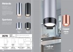 Потолочный накладной светильник Odeon light 3584/1C SPARTANO