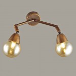 Светильник настенный бра Lumion 3596/2W ZIANOX