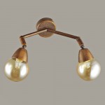 Светильник настенный бра Lumion 3596/2W ZIANOX