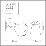 Светильник настенный бра Lumion 3607/1W PERLANA