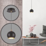 Подвесной светильник Lumion 3635/1 NERUNI