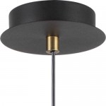 Подвесной светильник Lumion 3635/1 NERUNI