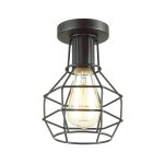 Светильник потолочный Lumion 3637/1C HARALD