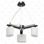 Светильник потолочный Mw light 364012403 Николь