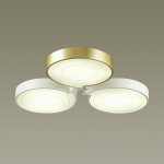 Люстра потолочная Lumion 3646/60CL DILIP