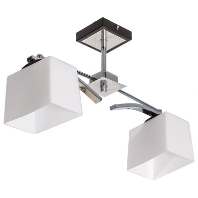 Потолочный светильник Экономсвет 3652/2BK+CR WT