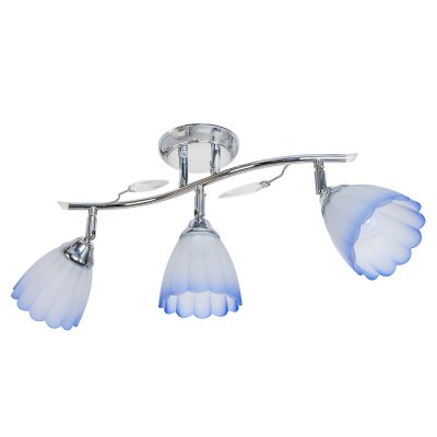 Потолочный светильник Экономсвет 36642/3CR BL