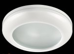 Встраиваемый светильник Novotech 370387 DAMLA