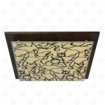 Светильник настенно-потолочный Mw light 374013803 Премьера