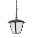Светильник светодиодный уличный подвесной Lightstar 375070 Lampione