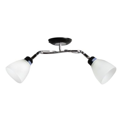 Потолочный светильник Экономсвет 37551A/2BK+CR WT