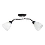 Потолочный светильник Экономсвет 37551A/2BK+CR WT