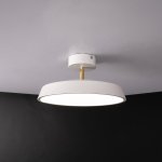 Потолочный светильник BIRK D30 White