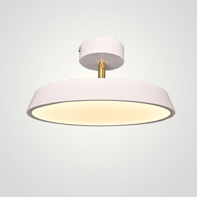 Потолочный светильник BIRK D30 White Потолочный светильник BIRK D30 White