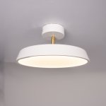 Потолочный светильник BIRK D30 White