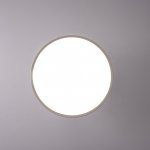 Потолочный светильник BIRK D30 White