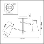 Люстра потолочная Lumion 3790/2C LIAM